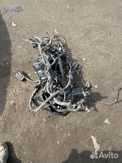 Проводка моторного отсека Kia Sportage 3