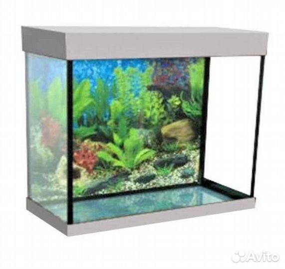 Креветки вишня,анцитрусы,аквариумы 65-50л,корма