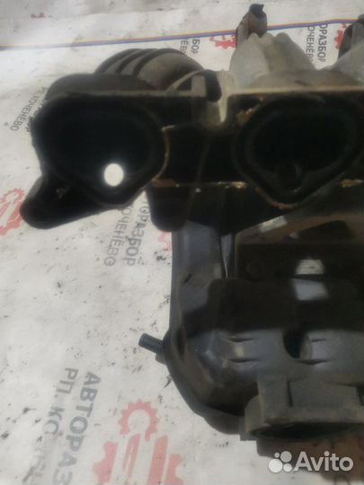 Коллектор впускной Газ 31105 dohc 2.4 2006