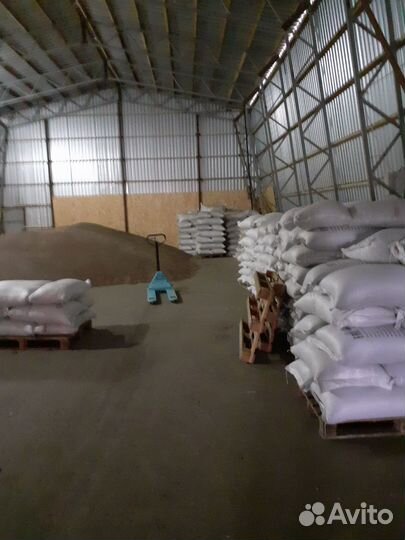 Семена Люцерна Суданка Эспарцет