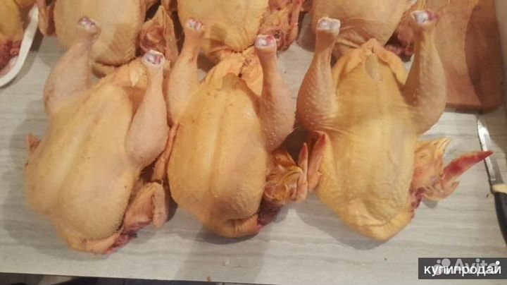 Мясо птицы домашнее