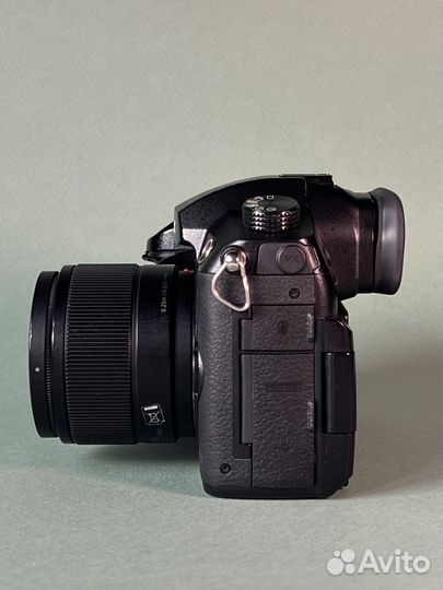 Panasonic gh5