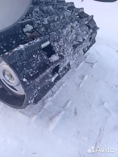 Тайга патруль 551