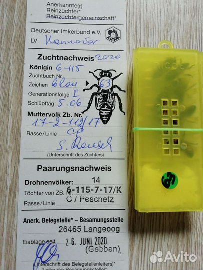 Продам пчел