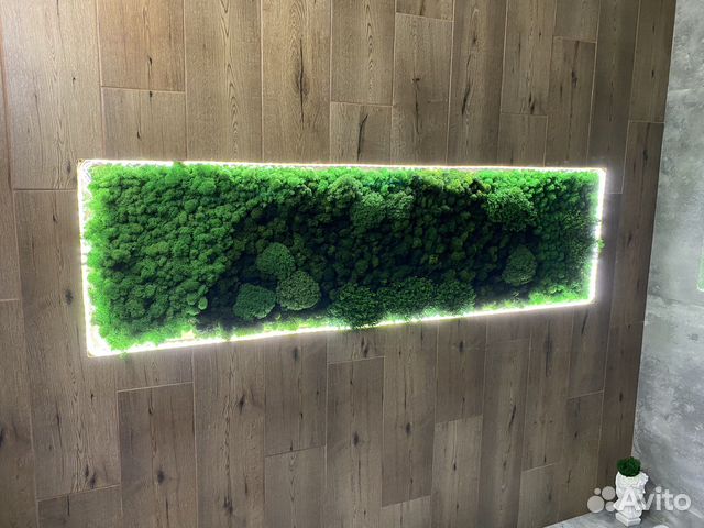 Стабилизированный мох панно