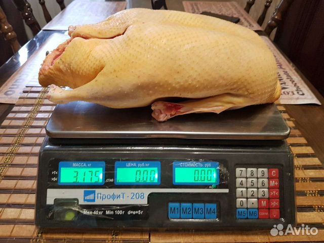 Утки, Куры, Гуси