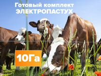 Комплект электропастух 10 Га