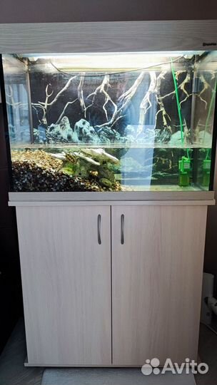 Аквариум