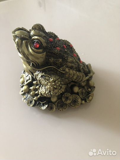 Денежная жаба большая