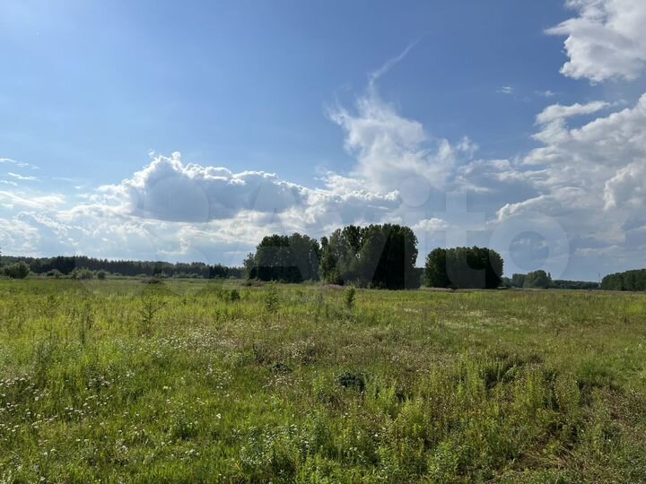 Участок 6,3 сот. (СНТ, ДНП)