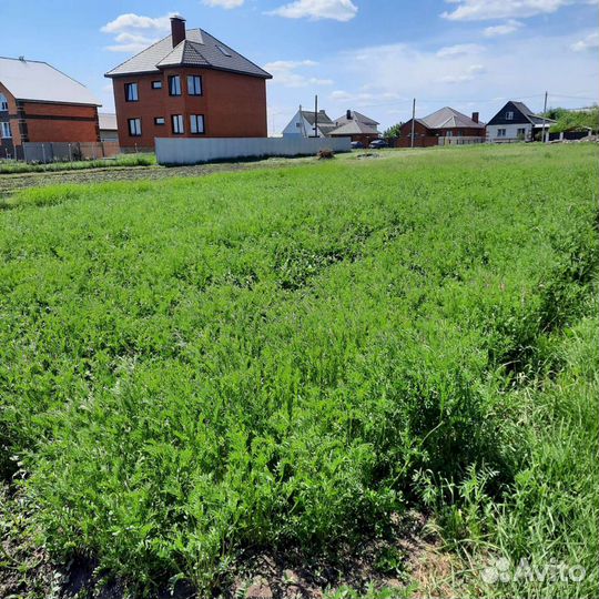 Сено отдадим