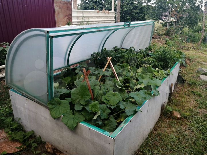 Дом 50 м² на участке 16 сот.