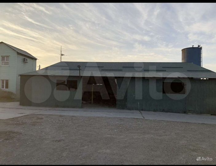 Производство, 800 м²