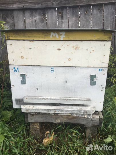 Ульи для пчел