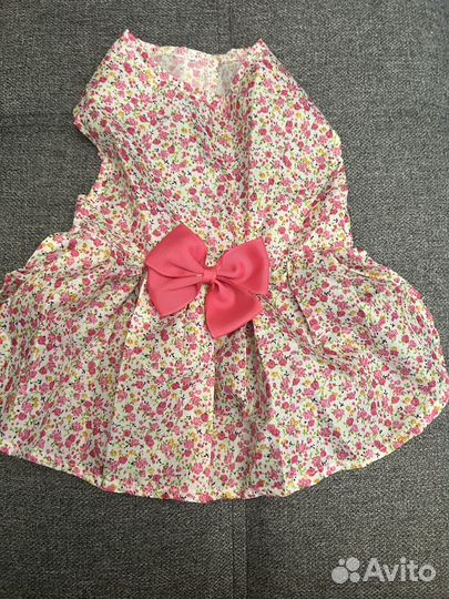 Платье для собак