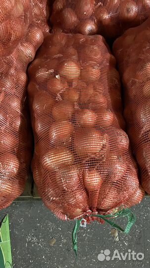 Лук репка зимний на хранение