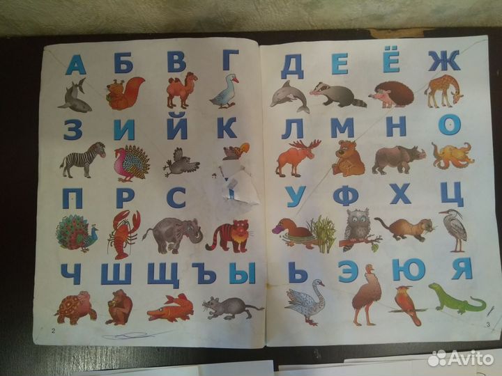 Раскраски алфавит