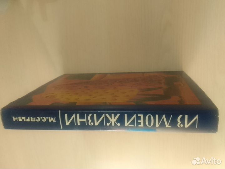 М с сарьян из моей жизни