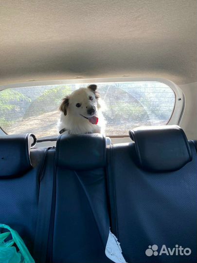 Ищем добрые рукн