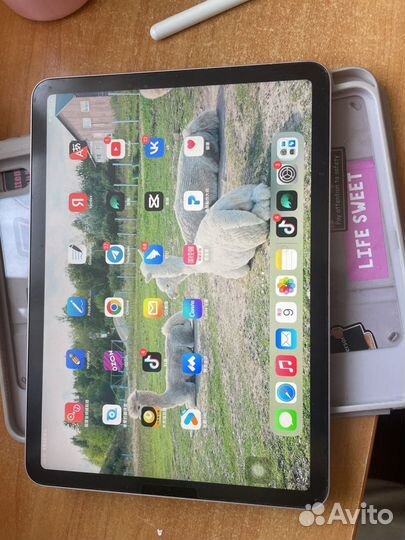 iPad air 5 256gb