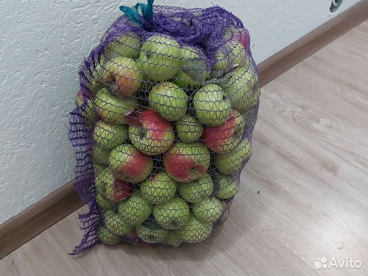 Яблоки