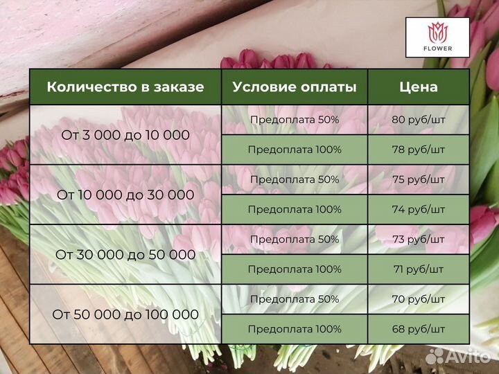 Тюльпаны оптом на заказ