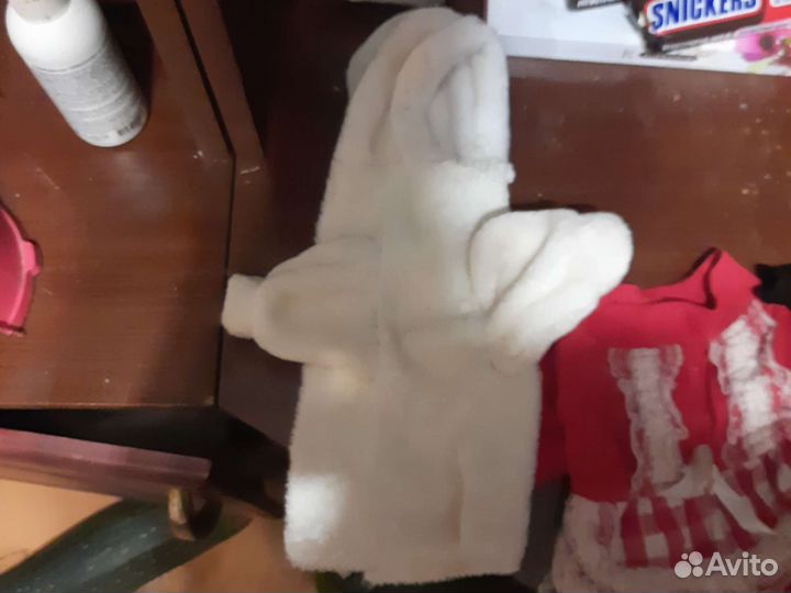 Одежда для чихуахуа