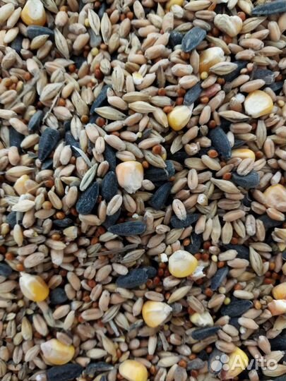 Зерносмесь для птиц, дроблённая зерносмесь