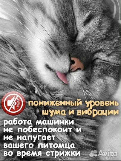 Машинка для стрижки животных