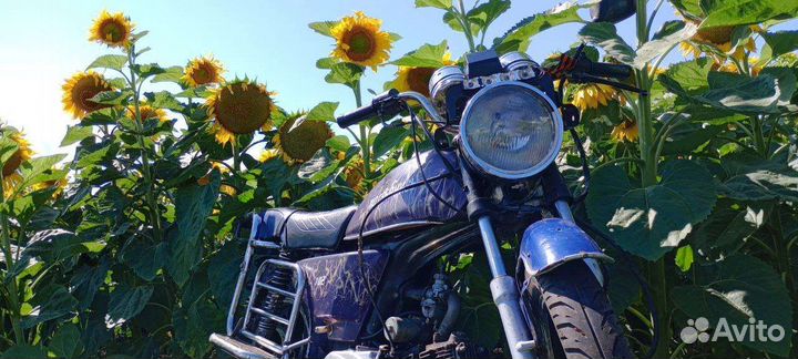 Мопед Альфа 110