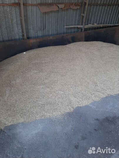 Ячмень, пшеница, овёс, урожай 2023, зерно