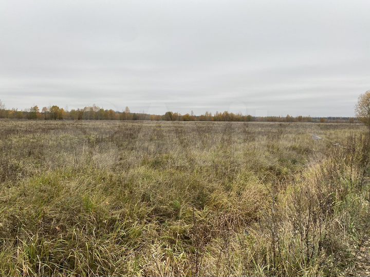 Участок 10 га (СНТ, ДНП)