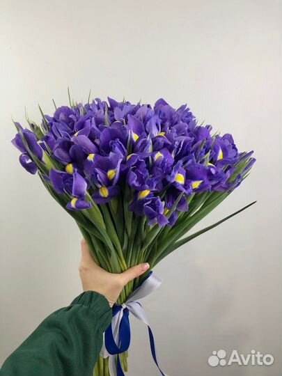 Ирисы, букет ирисов