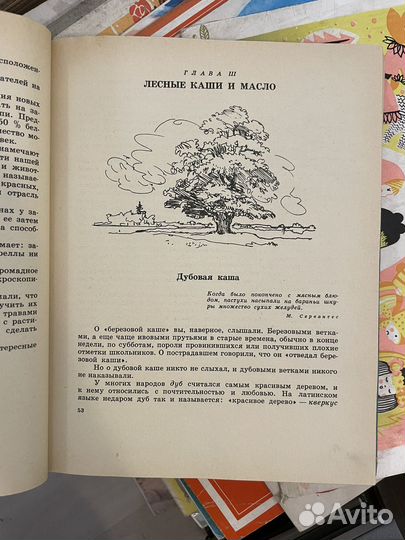 Верзилин Н. По следам Робинзона.1974г
