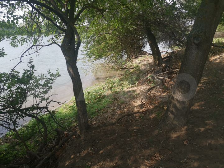 Участок 1,29 га (ИЖС)