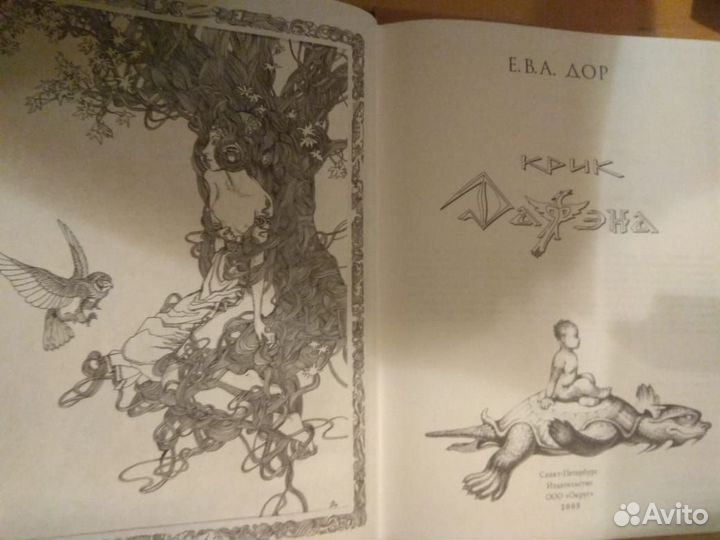 Дор Е.В.А. Крик Дафэна