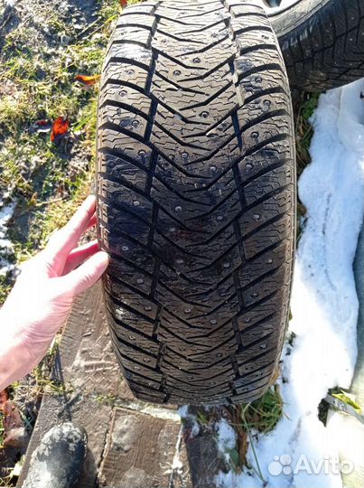 Yokohama Ice Guard IG65 205/55 R16