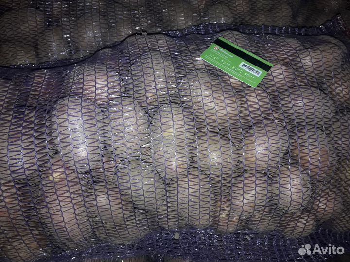 Картофель(воткинск), беспл. доставка