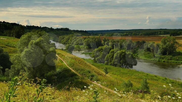 Участок 30 га (СНТ, ДНП)