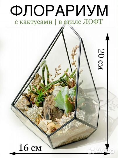 Флорариум Лофт, кактусы, эко-декор, подарок