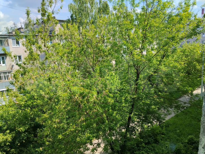 3-к. квартира, 58 м², 4/5 эт.