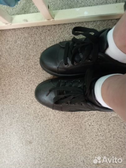 Кеды мужские 42 размер. Носил Путин