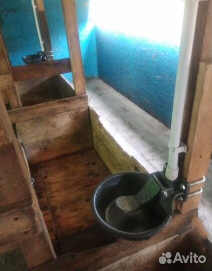 Чугунная поилка для крс мрс