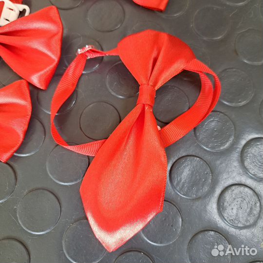 Галстук бабочка для животных