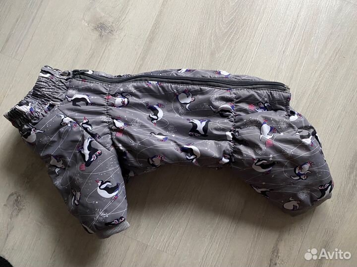 Одежда для собак
