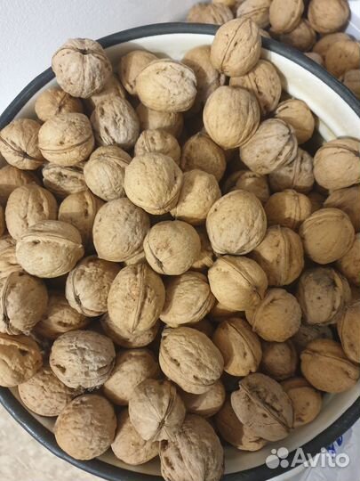 Грецкий орех в скорлупе