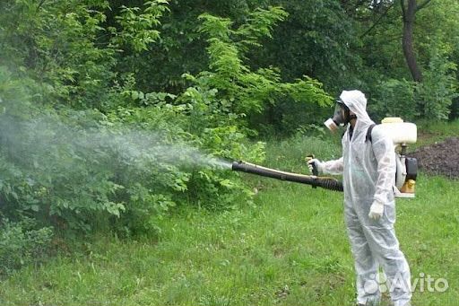 Обработка от клещей и комаров