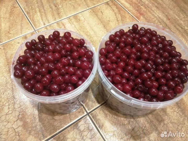 Вишня ягода свежая