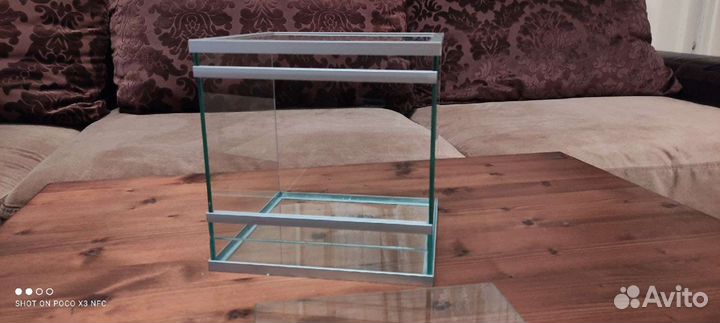 Террариум, паучатник