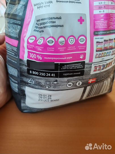 Сухой корм для кошек и котят